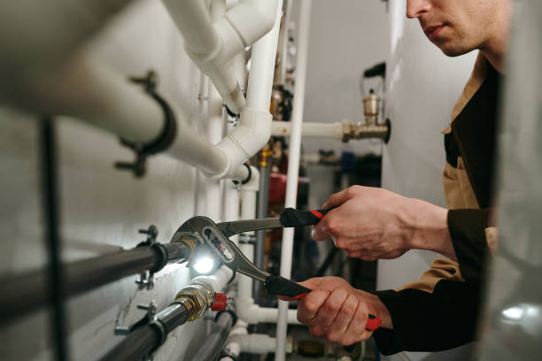 Best Toilet Repair Services  in Coldwater, MI