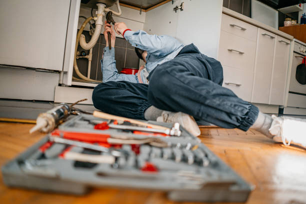 Best Commercial Plumbing Services  in Coldwater, MI