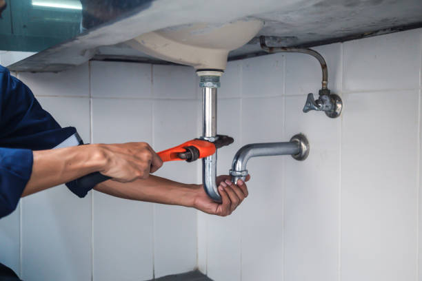 Best Plumbing Services Near Me  in Coldwater, MI
